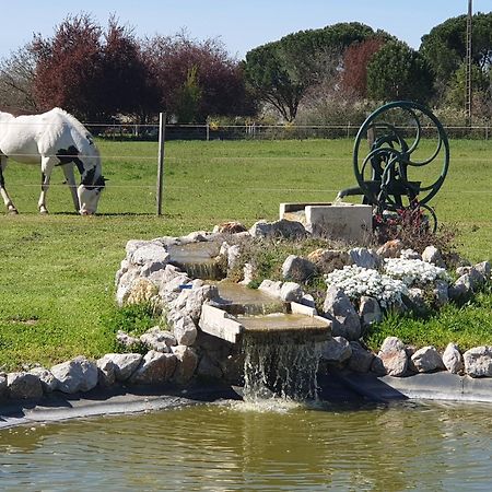 Domaine Christanna Lisle-sur-Tarn Exterior foto