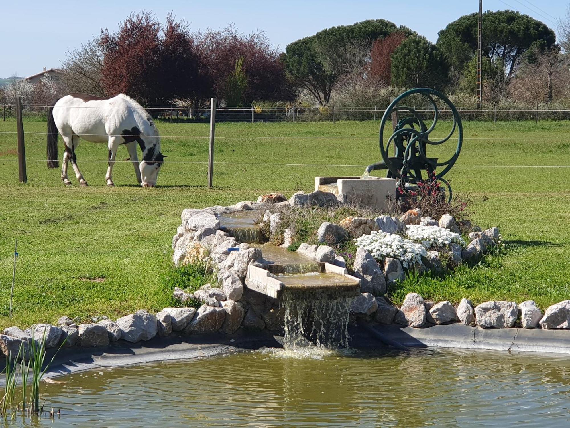 Domaine Christanna Lisle-sur-Tarn Exterior foto